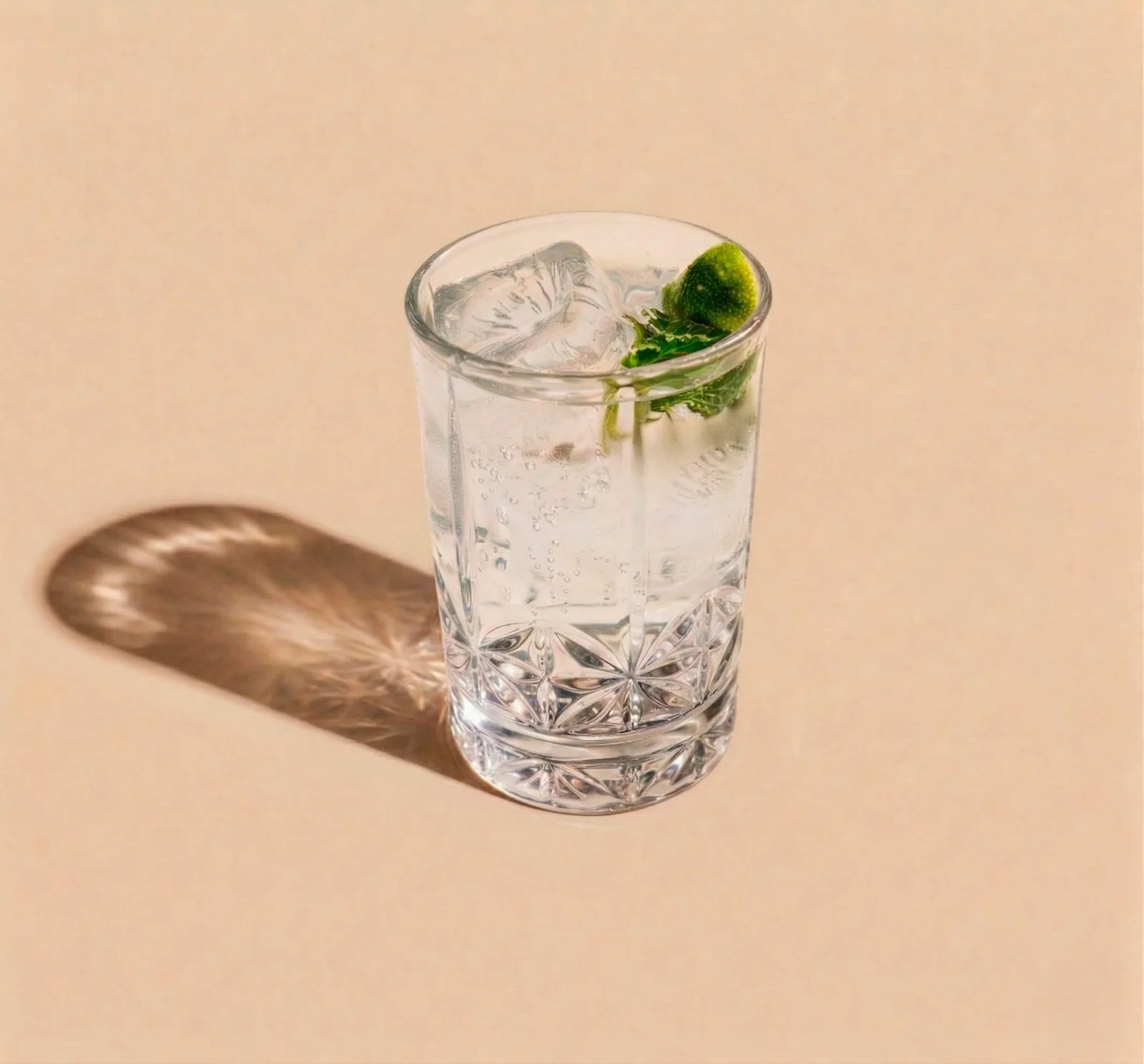 CITRUS GIN TONIC